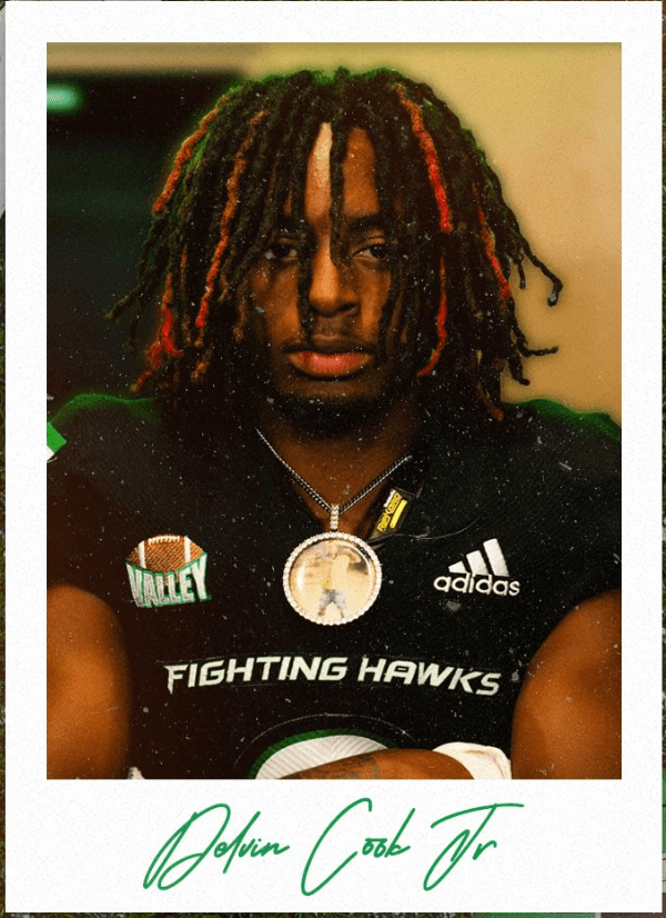 Delvin Cook
